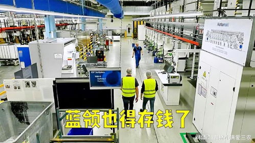 物价飞涨下的蓝领与白领 技术工人的储蓄挑战与软件开发者的经济现实